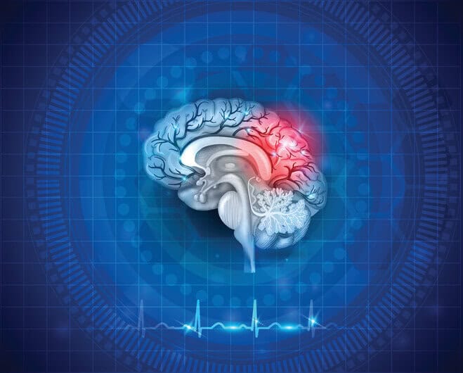 head injury assessment